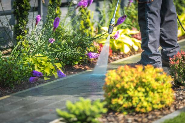Best Boat and Dock Cleaning  in Edgerton, MN