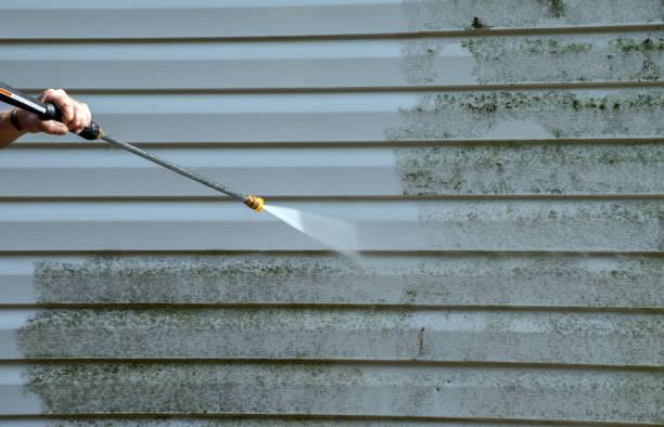 Best Fence Cleaning  in Edgerton, MN