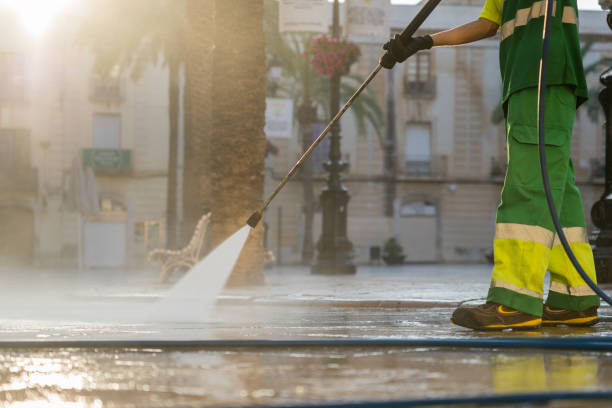 Best Gutter Cleaning  in Edgerton, MN